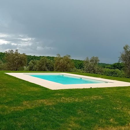 Podere Lucignano Secondo Agriturismo Gaiole in Chianti Dış mekan fotoğraf