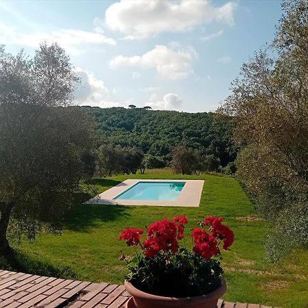Podere Lucignano Secondo Agriturismo Gaiole in Chianti Dış mekan fotoğraf